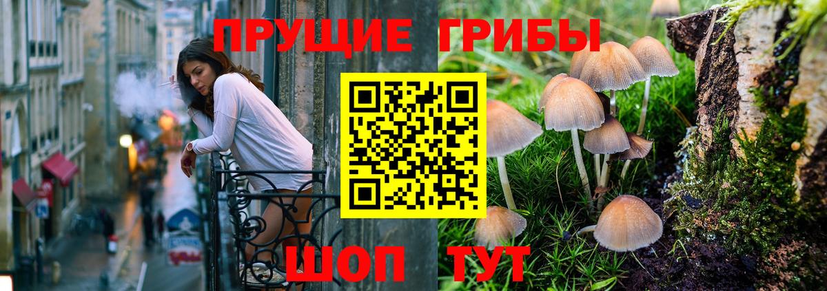 Галлюциногенные грибы GOLDEN TEACHER Ангарск
