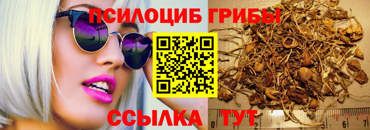 Ангарск  Псилоцибиновые грибы Psilocybe  Вход с VPN  Галлюциногенные грибы Cubensis 